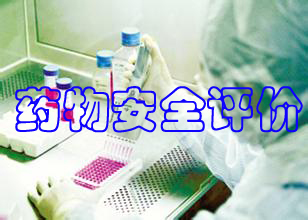 藥物安全評(píng)價(jià)
