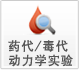 藥代毒代動(dòng)力學(xué)試驗(yàn)