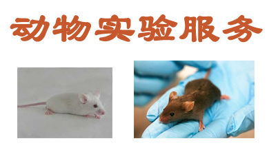 動(dòng)物實(shí)驗(yàn)服務(wù)