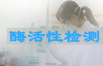 美迪西酶活性測定服務(wù)