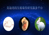 美迪西的生殖毒性研究服務(wù)平臺(tái)