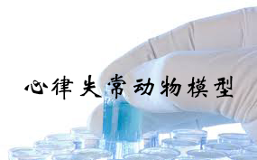 心律失常動(dòng)物模型的建立