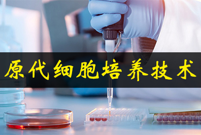 原代細胞培養(yǎng)技術(shù)