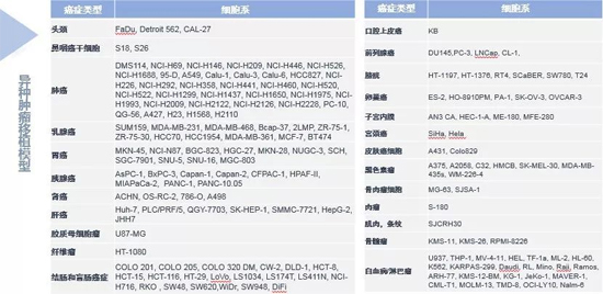 美迪西藥效學(xué)動(dòng)物模型