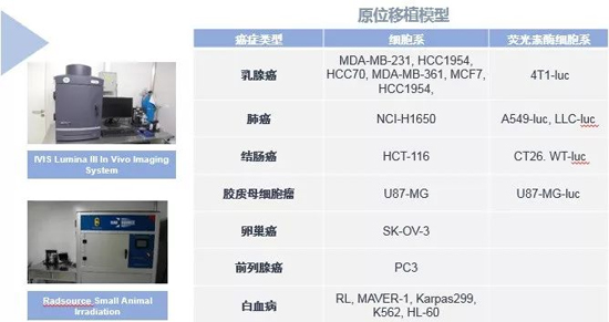 美迪西藥效學(xué)動(dòng)物模型