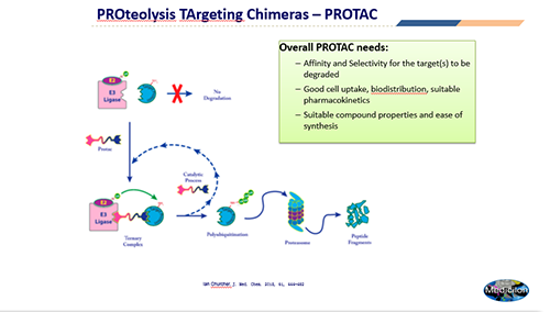 神奇的小分子藥物技術(shù)-PROTAC