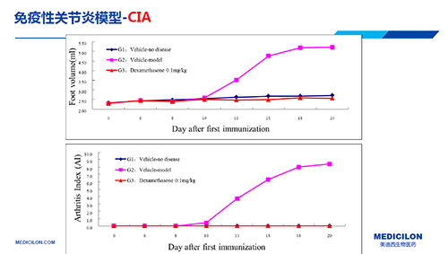 免疫性關(guān)節(jié)炎模型