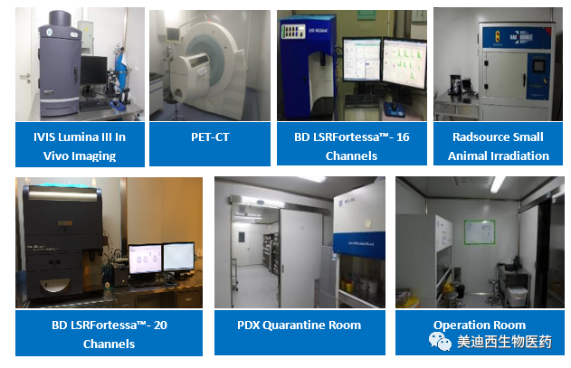 美迪西藥理部擁有IVIS Lumina III, PET-CT, BD LSRFortessa-16, Flow Cytometry等儀器，提供符合申報，支持臨床試驗(yàn)的藥效評價服務(wù)。