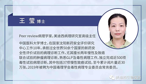 美迪西病理研究部高級(jí)主任王瑩博士