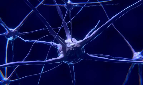 研究首次表明，與年齡有關(guān)的認(rèn)知喪失可能主要是由一種可逆的生理性“阻滯”而不是永久性的降解引起的。