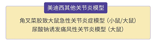 美迪西的其他關節(jié)炎模型