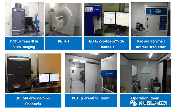 美迪西藥理部擁有IVIS Lumina III, PET-CT, BD LSRFortessa-16,F(xiàn)low Cytometry等儀器 美迪西藥理部擁有IVIS Lumina III, PET-CT, BD LSRFortessa-16,F(xiàn)low Cytometry等儀器