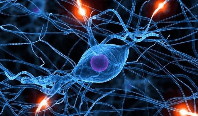 美迪西助力璃道醫(yī)藥靶向瞬時(shí)受體電位通道的小分子抑制劑LDS片獲批臨床