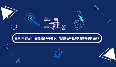 在ELISA實驗，如何制備分子量小、免疫原性弱的多肽藥物分子的抗體？