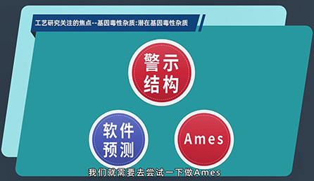 工藝研究關(guān)注的焦點：潛在的基因毒性雜質(zhì)