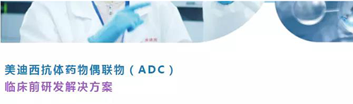 美迪西抗體藥物偶聯(lián)物(ADC)臨床前研發(fā)解決方案.png 美迪西抗體藥物偶聯(lián)物(ADC)臨床前研發(fā)解決方案.png