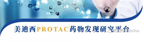 美迪西PROTAC藥物發(fā)現(xiàn)平臺(tái).png 美迪西PROTAC藥物發(fā)現(xiàn)平臺(tái).png