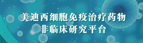 美迪西細(xì)胞免疫治療藥物非臨床研究平臺(tái).png 美迪西細(xì)胞免疫治療藥物非臨床研究平臺(tái).png