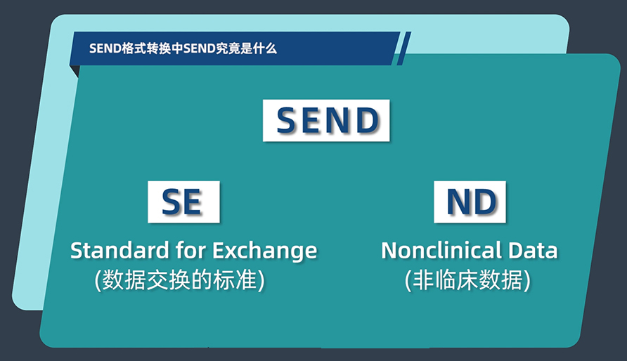 SEND格式轉(zhuǎn)換中的SEND究竟是什么？