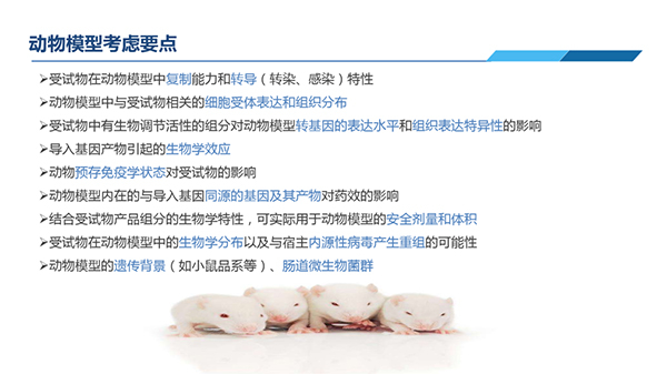 動(dòng)物模型考慮要點(diǎn).jpg