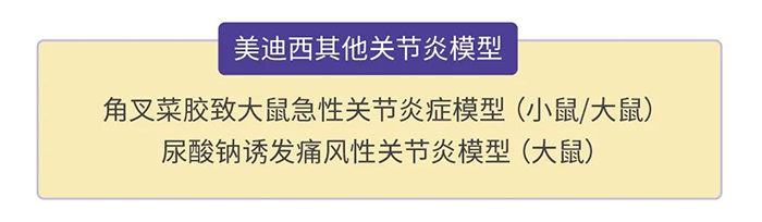 美迪西其他關(guān)節(jié)炎模型.png