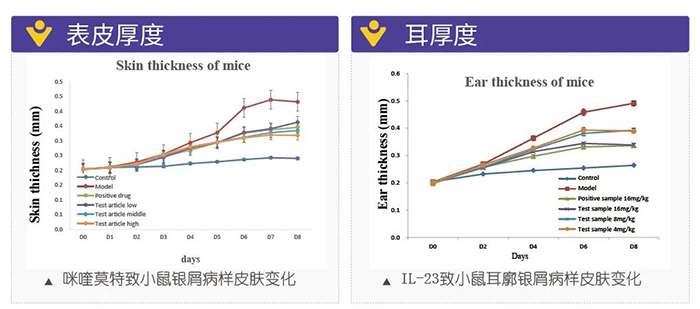 美迪西模擬銀屑病的建模模型-試驗(yàn)結(jié)果的指標(biāo).png