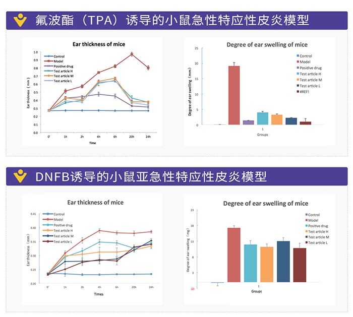 DNFB誘導(dǎo)的小鼠亞急性特應(yīng)性皮炎模型.png