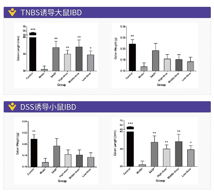TNBS誘導(dǎo)的大鼠IBD和DSS誘導(dǎo)的小鼠IBD.png