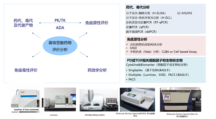 核酸藥物生物分析項(xiàng)目及涉及試驗(yàn)設(shè)備.png