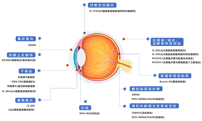 兆科眼科創(chuàng)新藥物管線.png