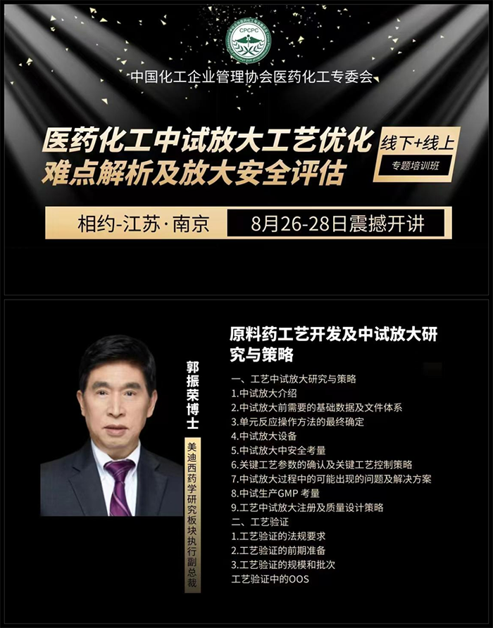 原料藥工藝開發(fā)及中試放大研究與策略.png