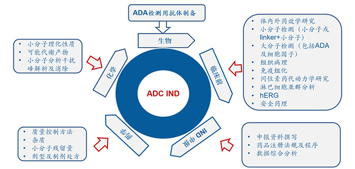 ADC藥物研發(fā)歷程.jpg