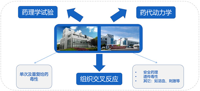 美迪西ADC藥物研發(fā)服務(wù)內(nèi)容.jpg