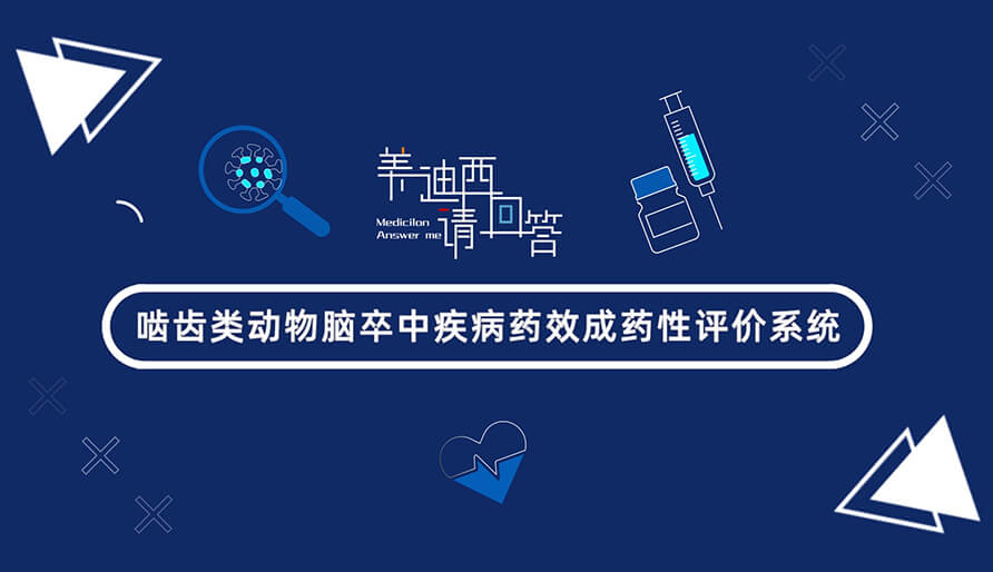 嚙齒類動物腦卒中疾病藥效成藥性評價系統(tǒng)