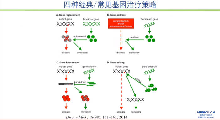 圖1-四種經(jīng)典常見(jiàn)基因治療策略.jpg