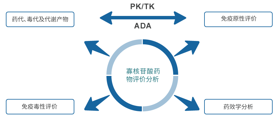 寡核苷酸藥物評(píng)價(jià)分析.jpg