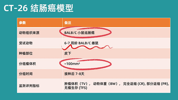 全方位了解CT-26結(jié)腸癌模型.jpg
