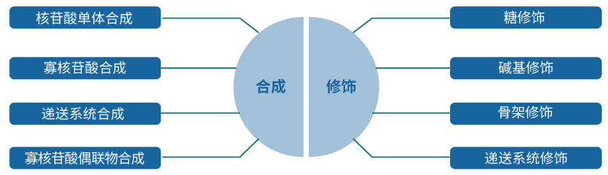 美迪西核酸藥物研發(fā)服務(wù)平臺.jpg