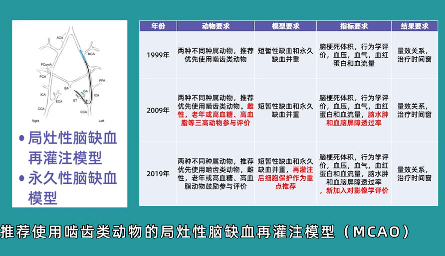 袁云云博士：嚙齒類動物腦卒中疾病藥效成藥性評價系統(tǒng)（2）.jpg