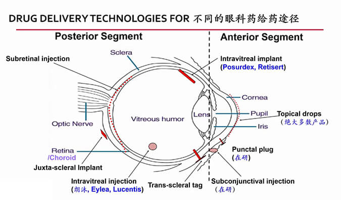 【內(nèi)附回放+下半場預(yù)約】美迪西眼科藥物專題研討會上半場精彩回顧