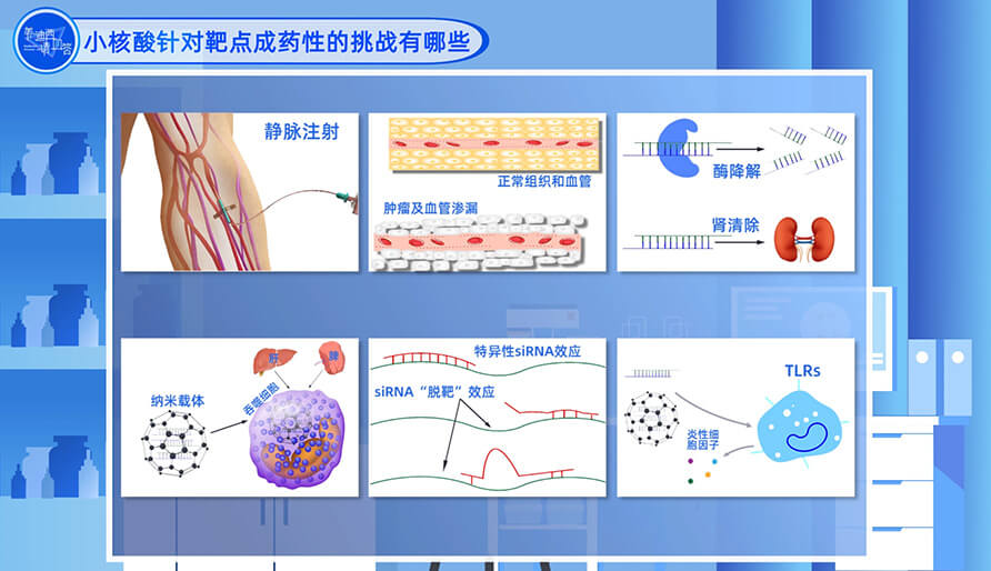 小核酸針對(duì)靶點(diǎn)成藥性的挑戰(zhàn)有哪些？