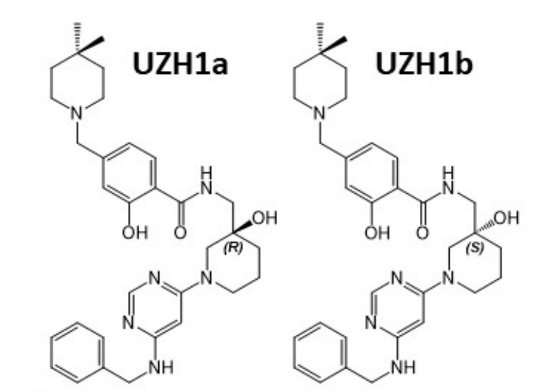 研究人員報(bào)告了一種具有細(xì)胞滲透性的選擇性METTL3納摩爾抑制劑UZH1a，作者感謝美迪西合成了UZH1a和UZH1b