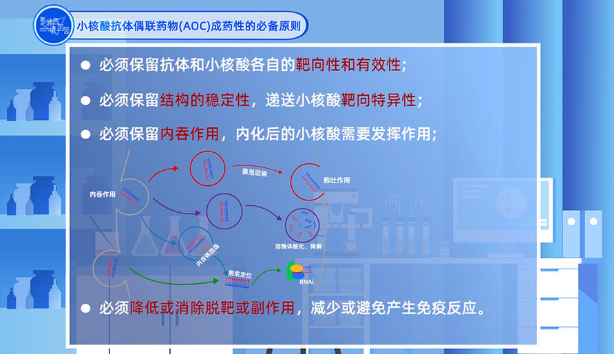 小核酸抗體偶聯(lián)藥物（AOC）成藥性的必備原則？