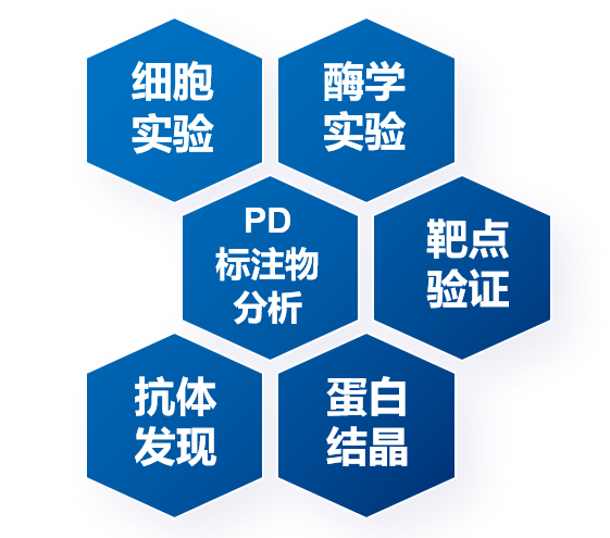 生物服務(wù)內(nèi)容.jpg