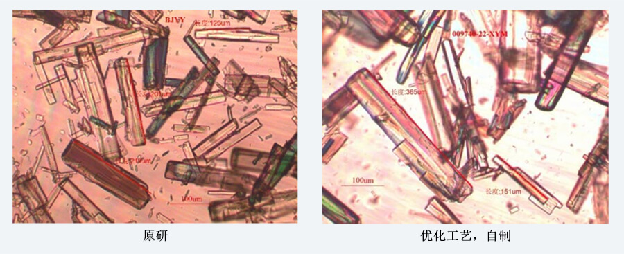 04案例分享-結晶工藝開發(fā)（制備結晶態(tài)）.jpg