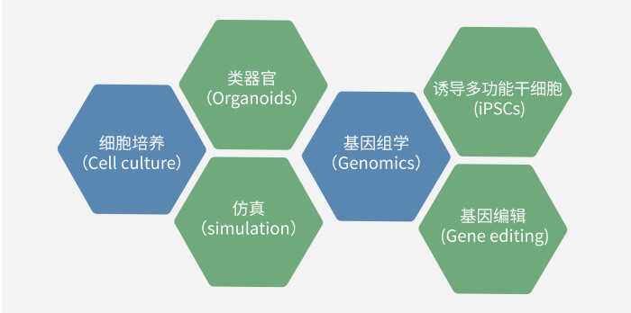 六大技術板塊已上線，持續(xù)升級中.jpg