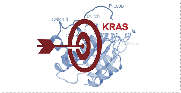 靶向不可成藥靶點(diǎn)KRAS.png