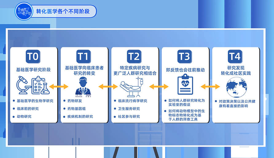 轉(zhuǎn)化醫(yī)學(xué)的各個不同階段