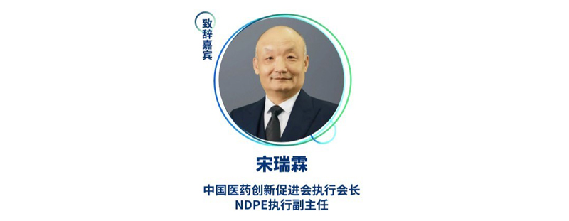 宋瑞霖--中國醫(yī)藥創(chuàng)新促進(jìn)會執(zhí)行會長、NDPE執(zhí)行副主任.jpg