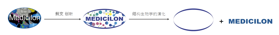 橢圓形作為自然界的完美形態(tài)，象征著美迪西在適應(yīng)環(huán)境變化中不斷演化